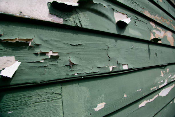 Best Custom Siding Design  in Ramtown, NJ
