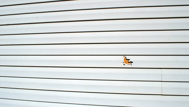 Ramtown, NJ Siding Installation & Repair Company
